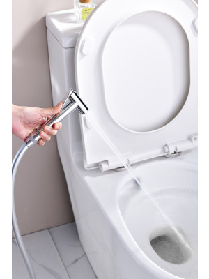 Гигиенический душ Ganzer GZ06157 хром 6