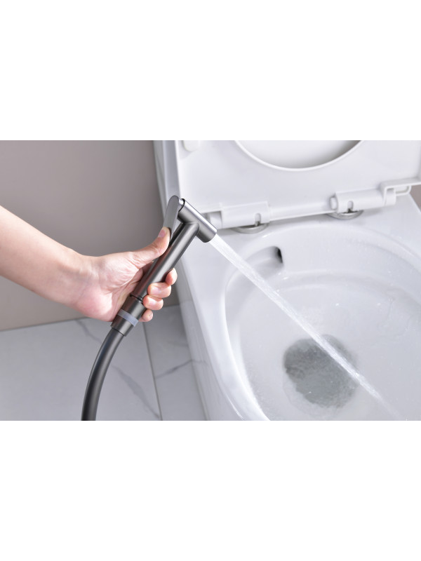 Гигиенический душ Ganzer GZ06157 оружейная сталь 10