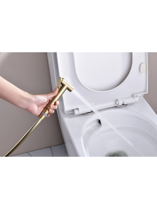 Гигиенический душ Ganzer GZ06157-S матовое золото 9