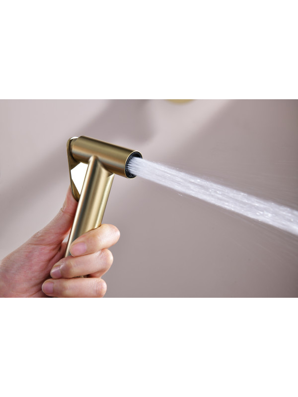 Гигиенический душ Ganzer GZ06157-S матовое золото 10