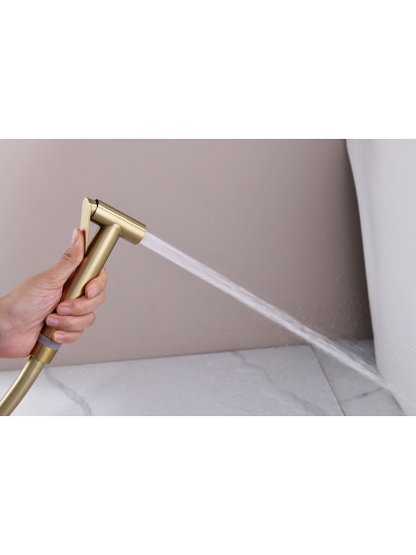 Гигиенический душ Ganzer GZ06157-S матовое золото 12