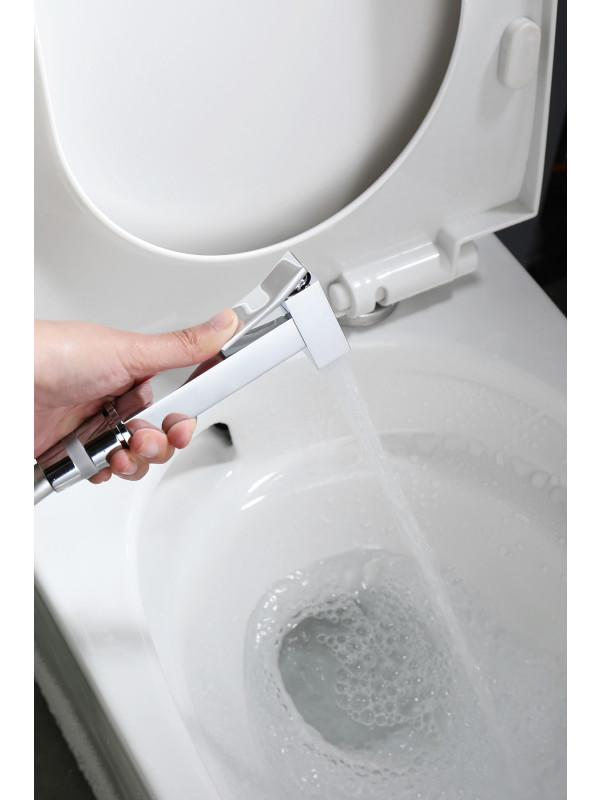 Гигиенический душ Ganzer GZ12157 хром 9