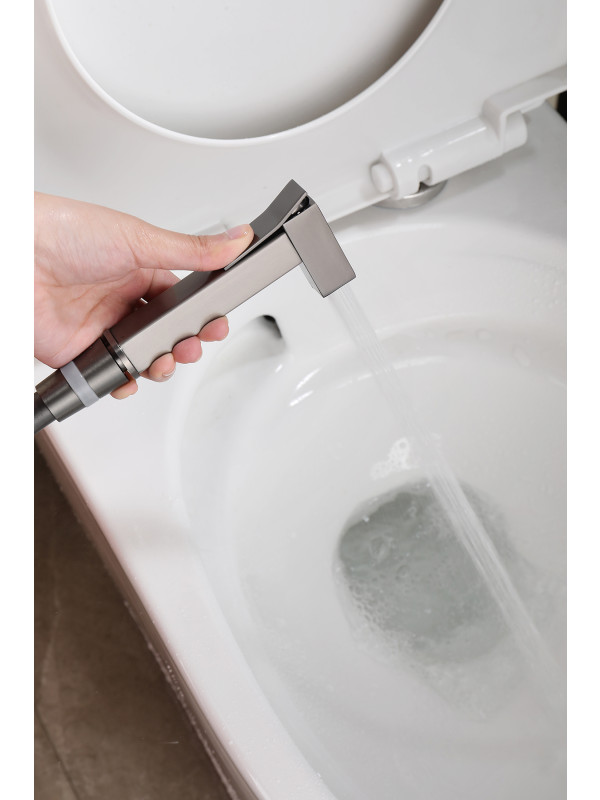 Гигиенический душ Ganzer GZ12157-Q оружейная сталь 10