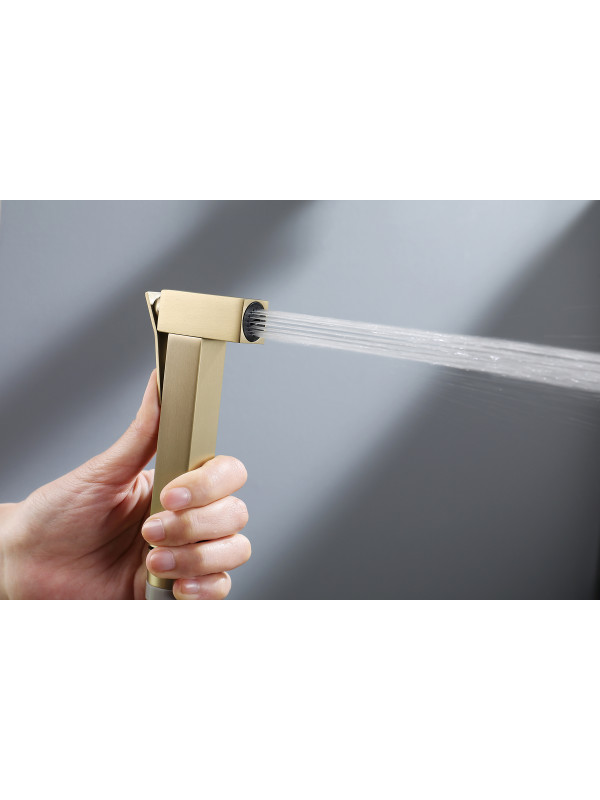 Гигиенический душ Ganzer GZ12157-S матовое золото 8