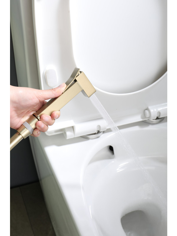 Гигиенический душ Ganzer GZ12157-S матовое золото 9