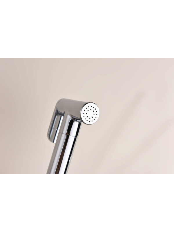 Гигиенический душ Ganzer GZ19157 хром 2