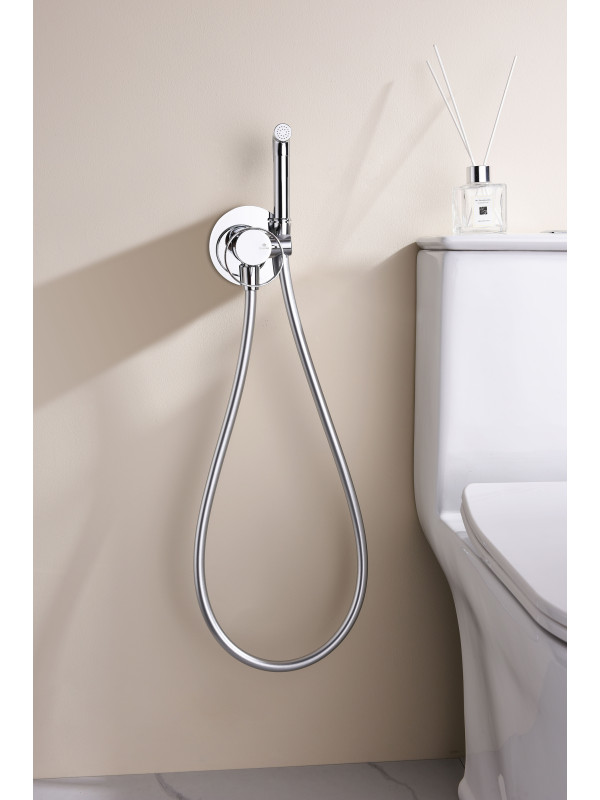 Гигиенический душ Ganzer GZ19157 хром 6