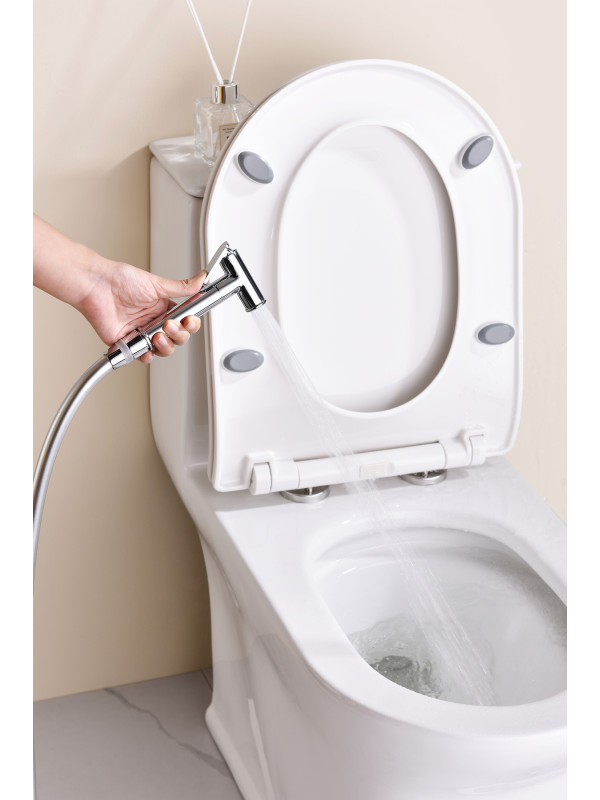 Гигиенический душ Ganzer GZ19157 хром 9