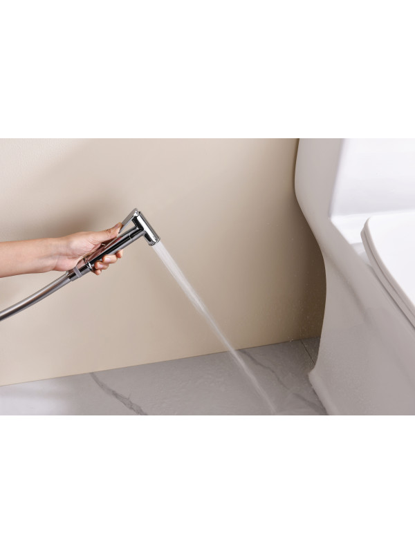 Гигиенический душ Ganzer GZ19157 хром 10