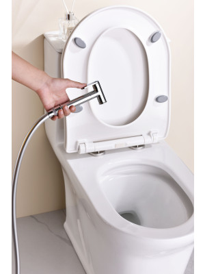 Гигиенический душ Ganzer GZ19157 хром 8