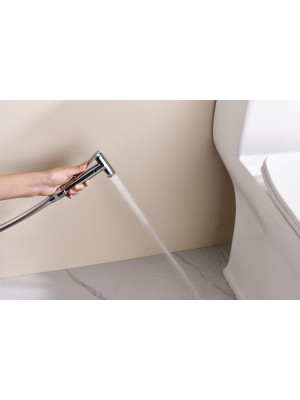 Гигиенический душ Ganzer GZ19157 хром 10