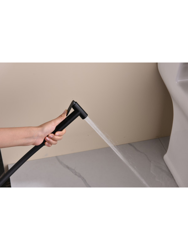 Гигиенический душ Ganzer GZ19157-C черный 12