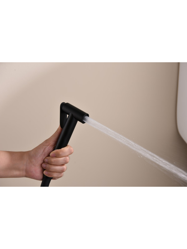 Гигиенический душ Ganzer GZ19157-C черный 13