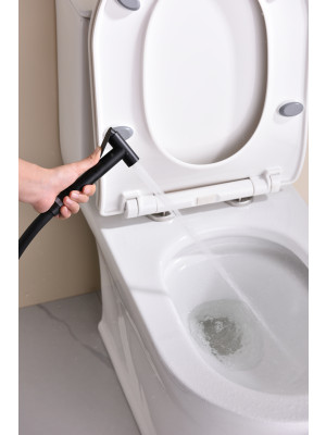 Гигиенический душ Ganzer GZ19157-C черный 11