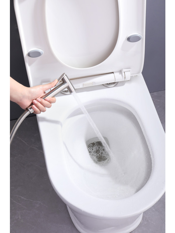 Гигиенический душ Ganzer GZ19157-G сатин 10