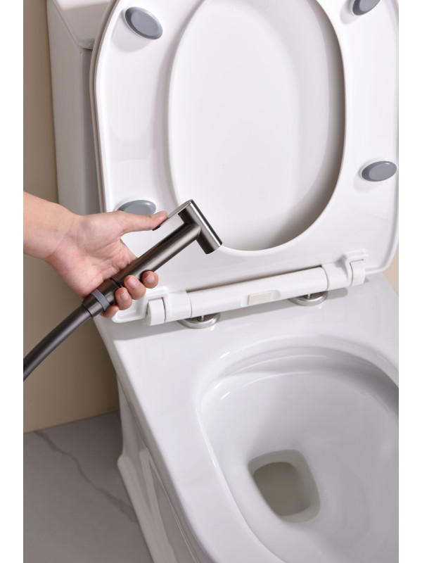 Гигиенический душ Ganzer GZ19157-Q оружейная сталь 10