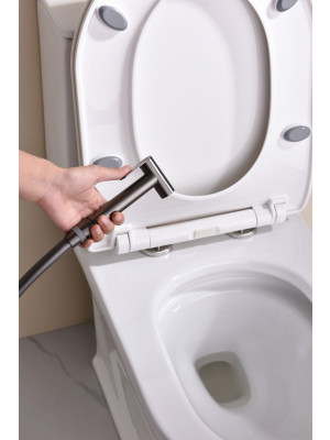 Гигиенический душ Ganzer GZ19157-Q оружейная сталь 10