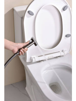 Гигиенический душ Ganzer GZ19157-Q оружейная сталь 12