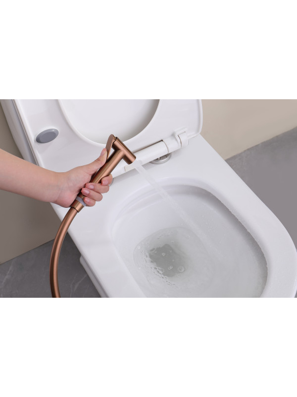 Гигиенический душ Ganzer GZ19157-R розовое золото 11