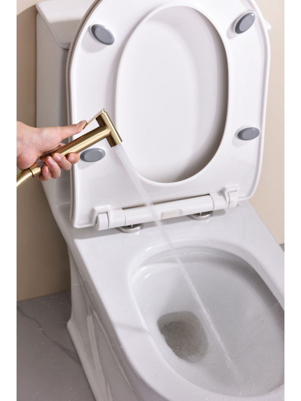 Гигиенический душ Ganzer GZ19157-S матовое золото 10