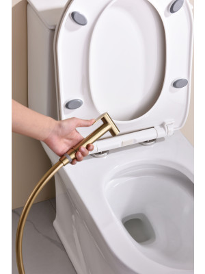 Гигиенический душ Ganzer GZ19157-S матовое золото 9