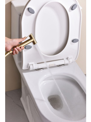 Гигиенический душ Ganzer GZ19157-S матовое золото 10