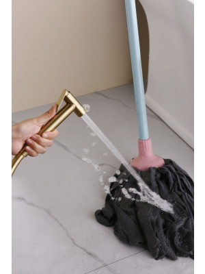 Гигиенический душ Ganzer GZ19157-S матовое золото 12