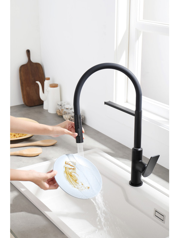 Смеситель Ganzer GZ07126-C черный 6