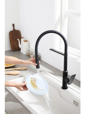 Смеситель Ganzer GZ07126-C черный 6