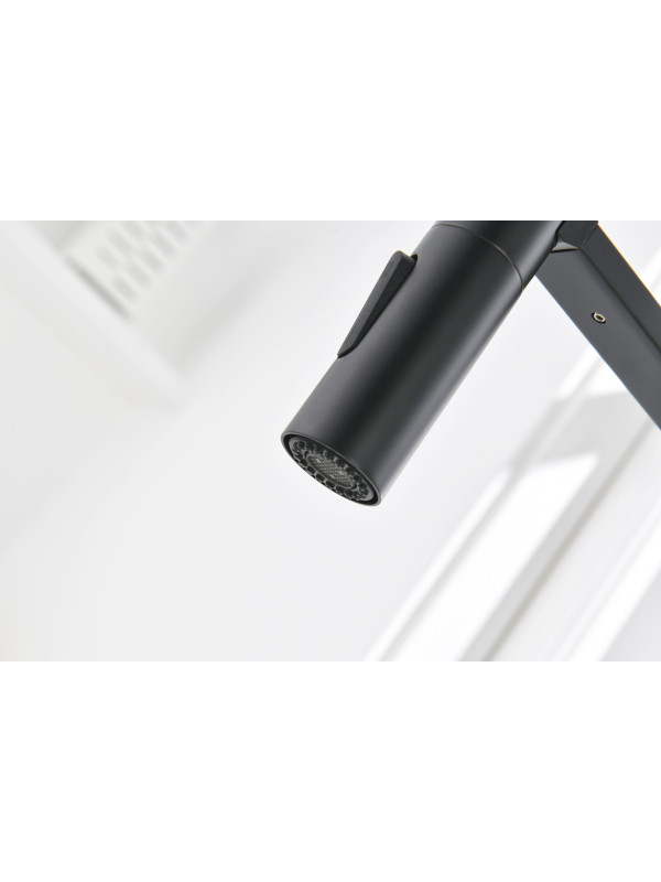 Смеситель Ganzer GZ12127-C черный 6