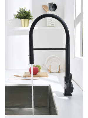 Смеситель Ganzer GZ12127-C черный 4