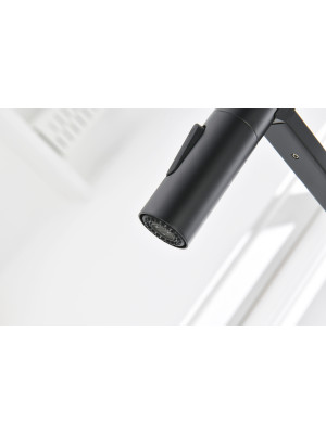 Смеситель Ganzer GZ12127-C черный 6