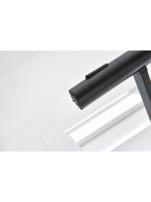 Смеситель Ganzer GZ12127-C черный 9