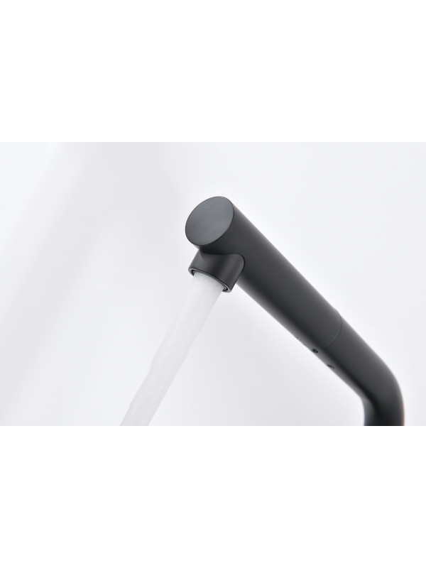 Смеситель Ganzer GZ16036-C черный 6