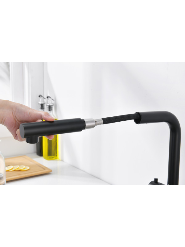 Смеситель Ganzer GZ16036-C черный 9