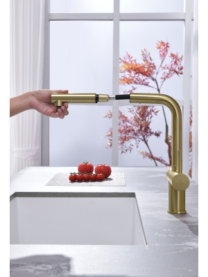 Смеситель Ganzer GZ16036-S матовое золото 8