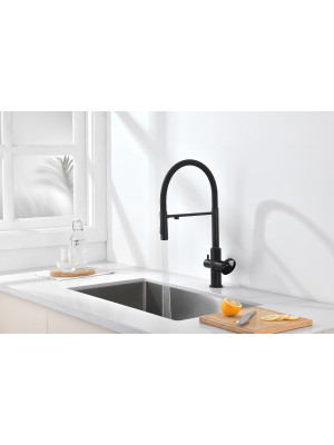 Смеситель Ganzer GZ19127-C черный 3