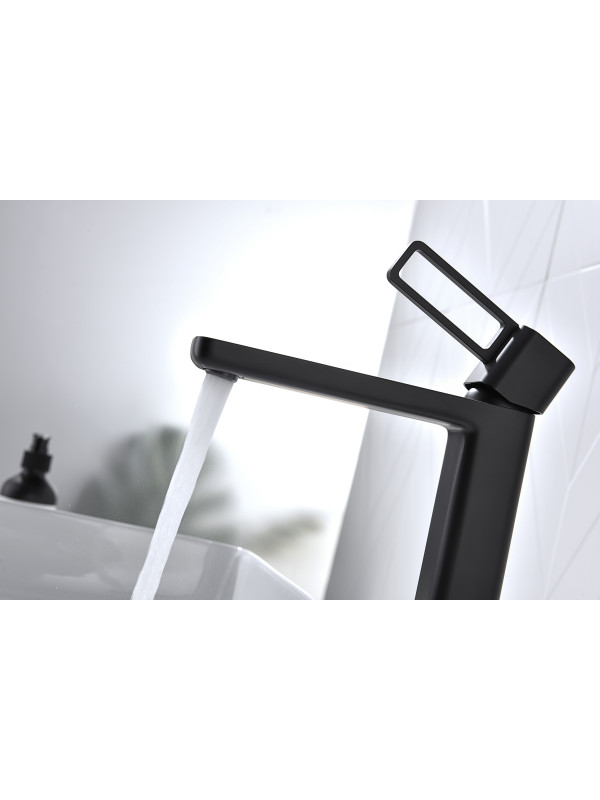 Смеситель Ganzer GZ12112-C черный 5