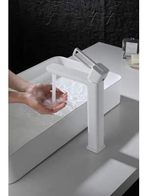 Смеситель Ganzer GZ12112-F белый 4