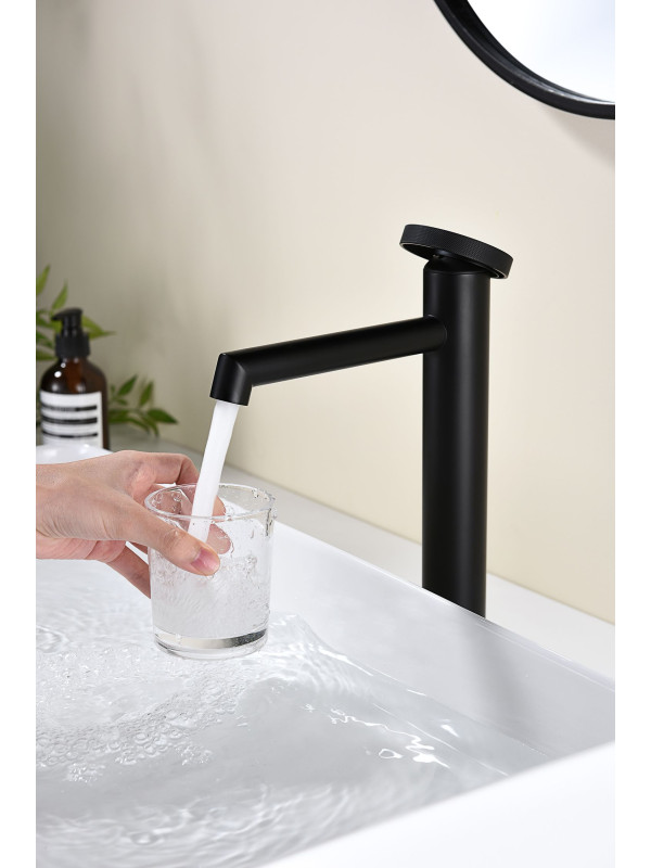 Смеситель Ganzer GZ19112-C черный 8