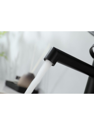 Смеситель Ganzer GZ19111-C черный 6