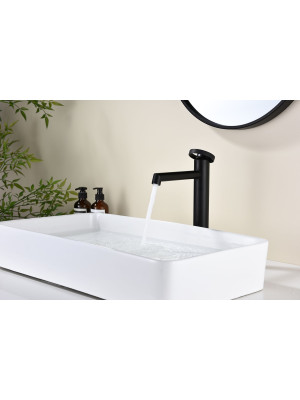 Смеситель Ganzer GZ19112-C черный 3