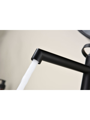 Смеситель Ganzer GZ19112-C черный 4