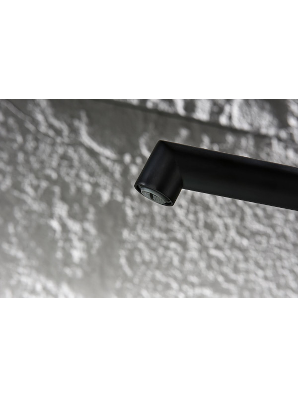 Смеситель Ganzer GZ19181-C черный 3