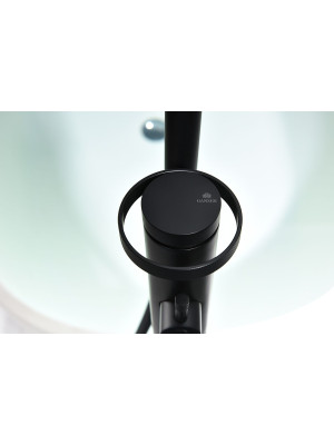 Смеситель Ganzer GZ19181-C черный 6