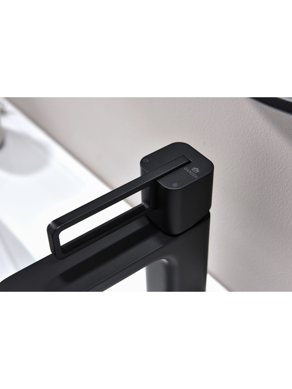 Смеситель Ganzer GZ12111-C черный 6