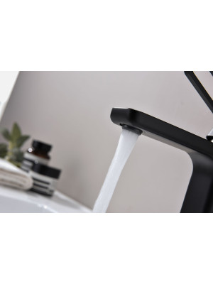 Смеситель Ganzer GZ12111-C черный 5