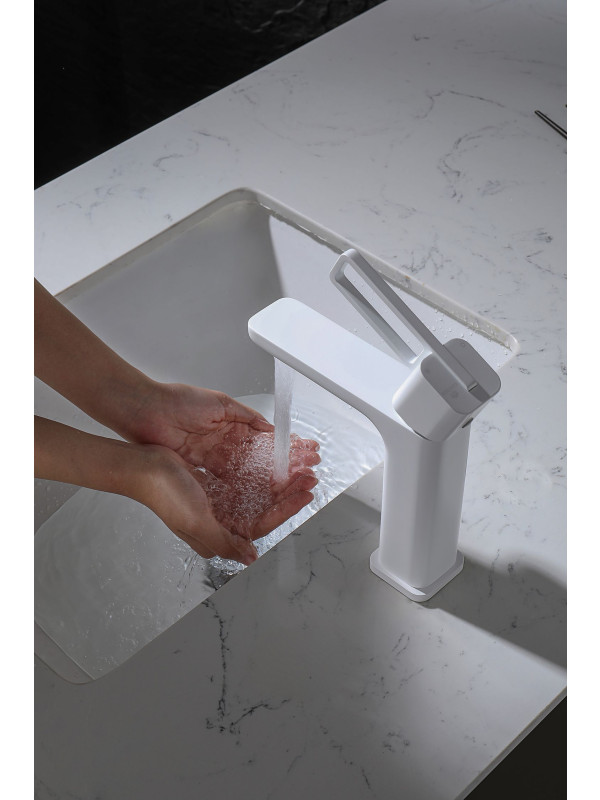 Смеситель Ganzer GZ12111-F белый 4