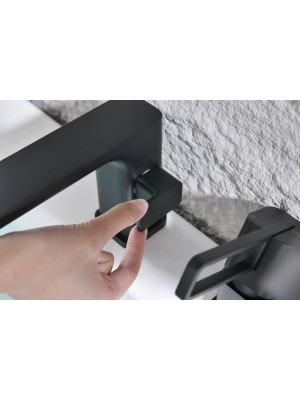 Смеситель Ganzer GZ12133-C черный 10