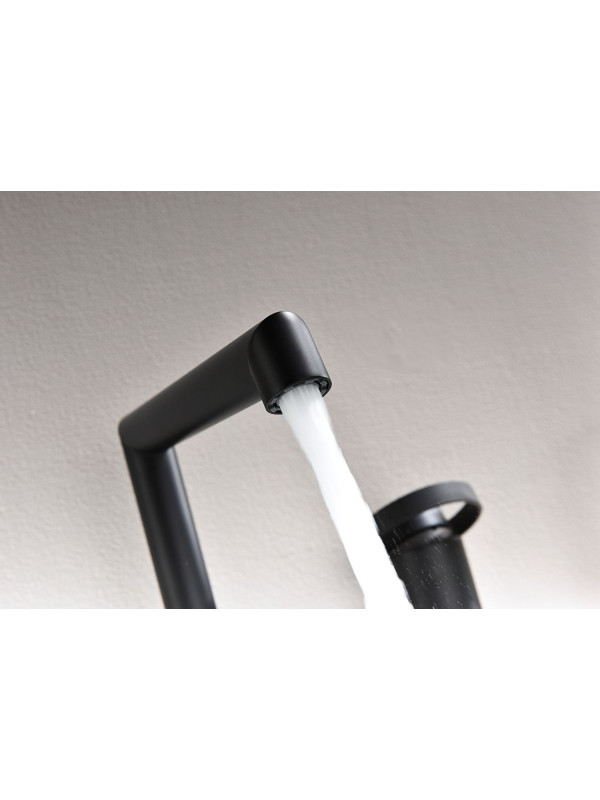 Смеситель Ganzer GZ19133-C черный 10